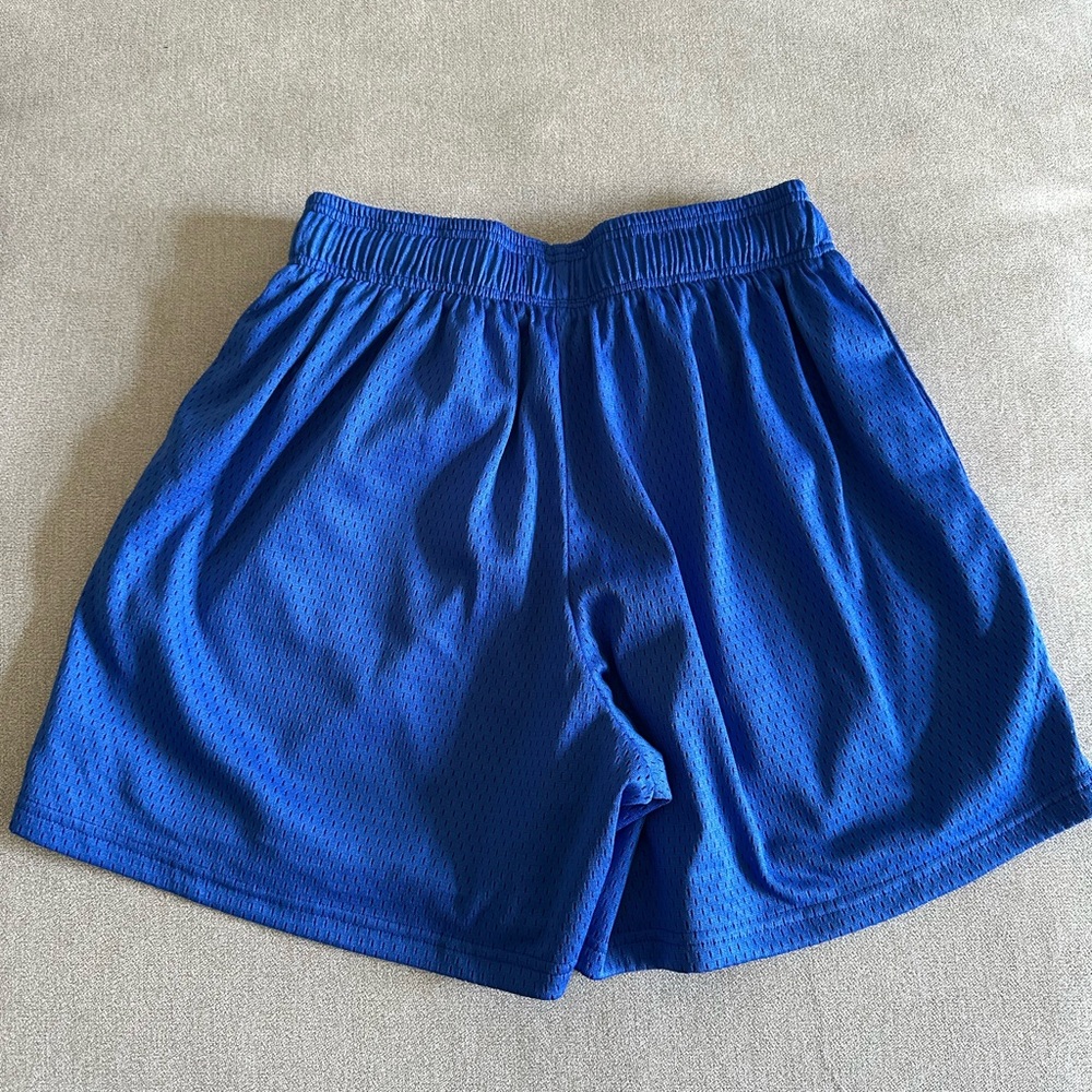 Blue Inaka Power Mesh Shorts - Picture 3 of 3